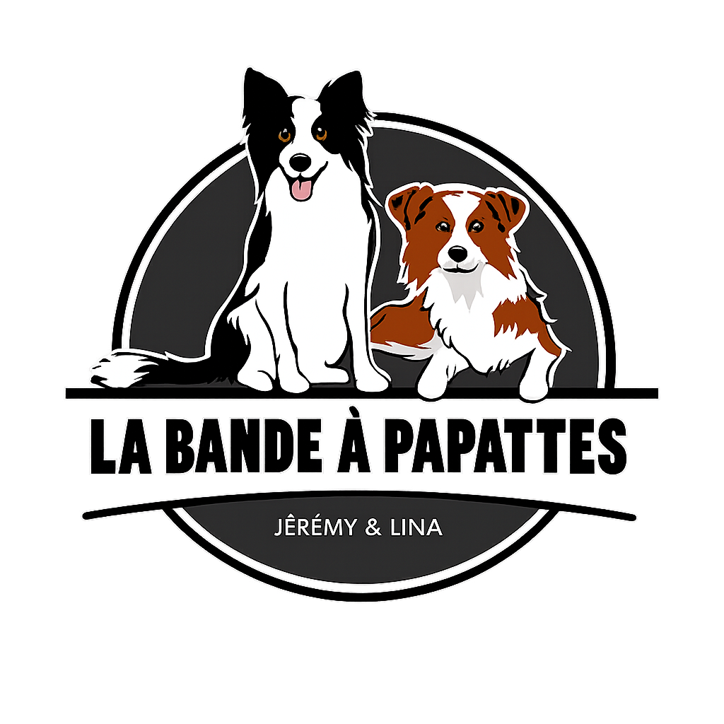La Bande A Papattes