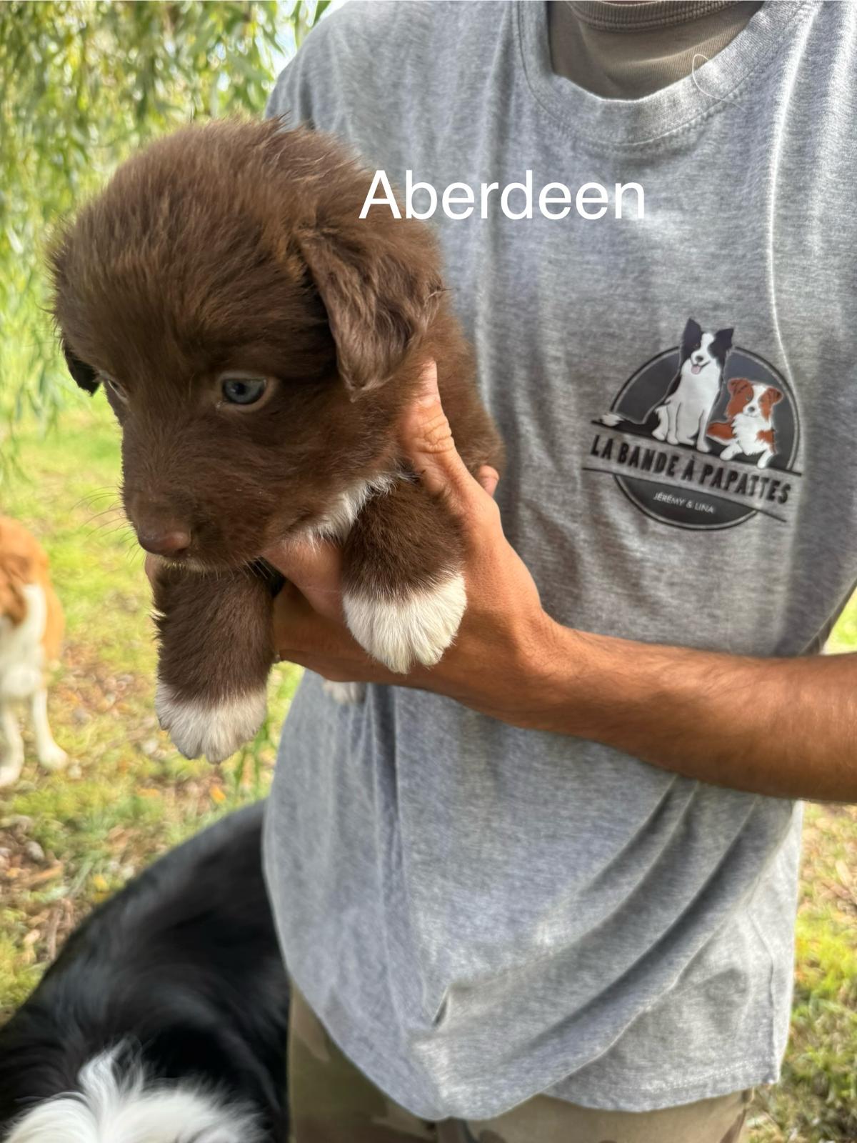 Aberdeen