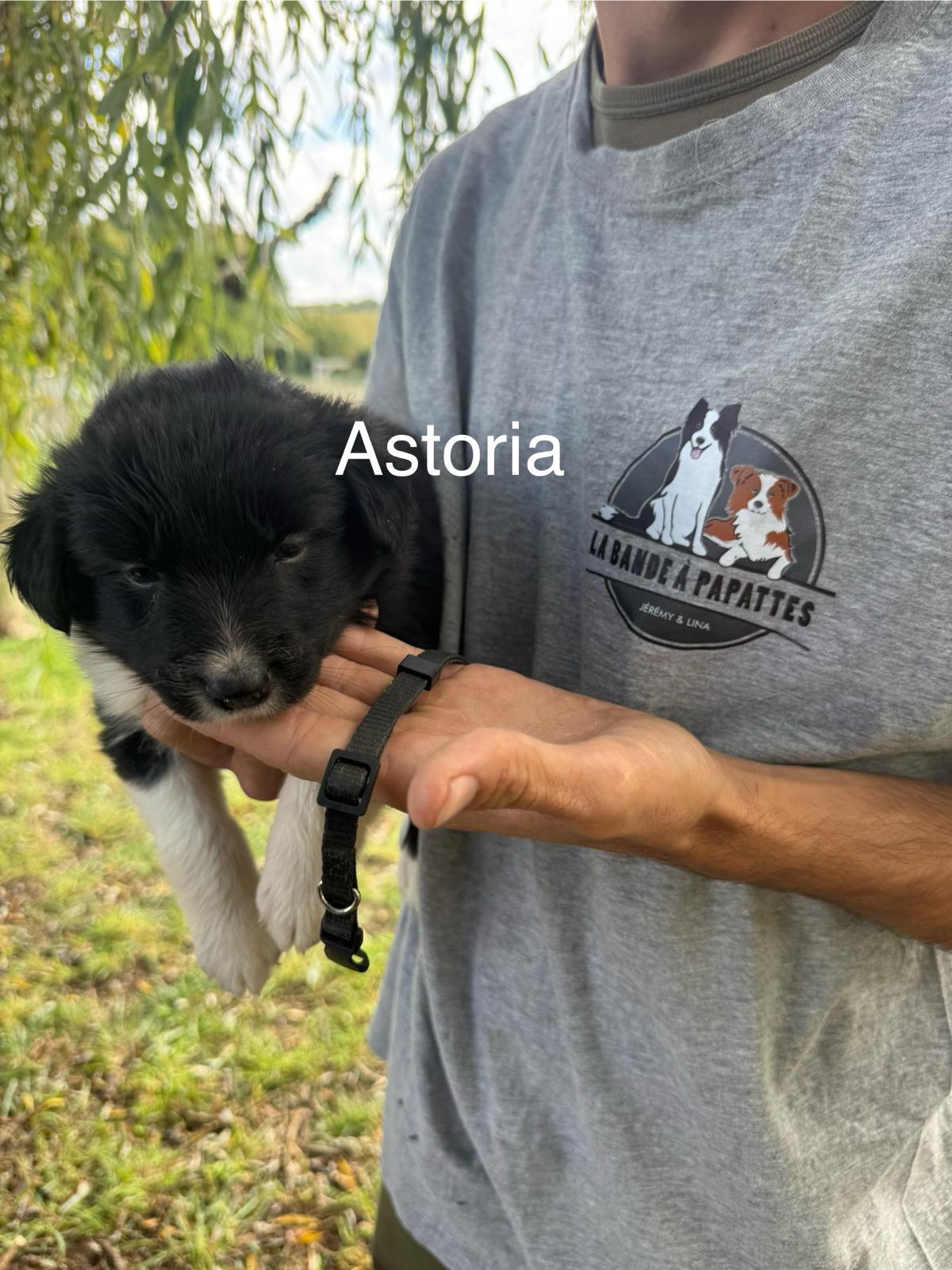 Astoria